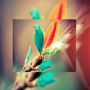 插阴道视频性感网站
