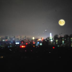 插阴道视频性感网站
