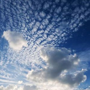 插阴道视频性感网站
