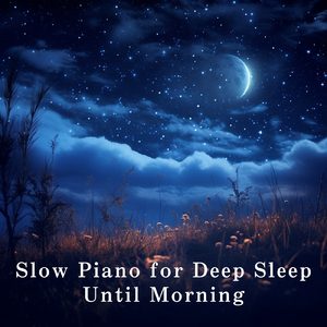 插阴道视频性感网站
